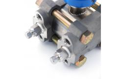 China Industrial Gauge Differential Pressure Transmitter Anti Corrosion supplier