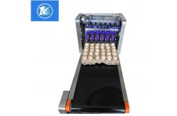 China Custom Length Egg Printing Machine With 45ml High Capacity Ink Cartridges supplier