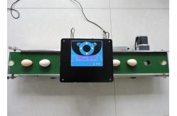 China Easy Operating Egg Stamping Machine With Computer Control Shuttle Conveyor supplier