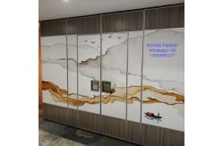 China Aluminum Sliding Ceiling Tracks System Folding Partition Walls For Conference Room supplier