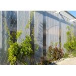 Flexible Inox Wire Rope Plant Trellis , Plant Climbing Green Wall Mesh