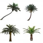 Royal 15m Artificial Coconut Palm Trees For Outdoor And Indoor for sale