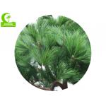 Handmake HAIHONG 350cm Artificial Foliage Tree With Fiber Glass Trunk