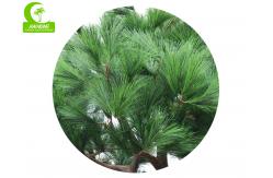China Handmake HAIHONG 350cm Artificial Foliage Tree With Fiber Glass Trunk supplier