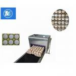 Safety Egg Continuous Inkjet Printer , Digital Inkjet Printing Machine