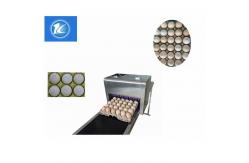 China Safety Egg Continuous Inkjet Printer , Digital Inkjet Printing Machine supplier