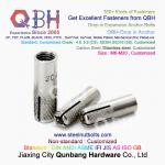 QBH SS 304 S.S. 316 Stainless Steel Drop In Expansion Anchor Bolts for sale
