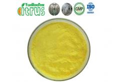 China Vitamin P Purity Extract Rutin Powder CAS 153-18-4 supplier