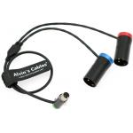 Low Profile TA5F To Dual LP XLR 3 Pin Male Audio Cable For Wisycom MCR54 LP Mini XLR 5 Pin Female To Two XLR Output for sale