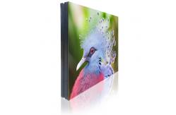 China Multi - Channel Outdoor P5 Advertising LED Screen High Brightness 6000cd 3840Hz supplier