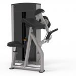 Unisex Biceps Machine for Gym and Home Use Strength Training Equipment With Pin Load Selection for sale