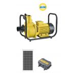 Reverse Protection Submersible Solar Water Pumps For Irrigation , Brass Impeller for sale