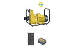China Reverse Protection Submersible Solar Water Pumps For Irrigation , Brass Impeller supplier