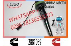 China Diesel Engine Parts K19 QSK19 QSK Engine Fuel Injector 2882130 2881089 supplier