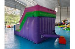China Tarpaulin 4x3m Commercial Inflatable Water Slides Inflatable Bouncy Castle Silk Printing supplier