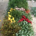 Eco Friendly Vertical Greening Plastic Pe Artificial Wall Grass for sale