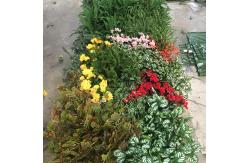 China 6cm Thickness Synthetic Grass With Round Leaf Foliage Artificial Cost Leaf Wall supplier