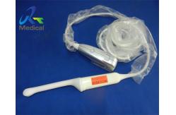 China GE IC9-RS Endocavity Ultrasound Transducer Probe Ultrasonic Testing Probes Repair Crtstal supplier