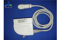 China Siemens C8-5 Micro Convex Probe Neonatal And Pediatric Imaging supplier