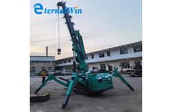 China Electric and Diesel Power Source Spider Crane with Telescopic Boom Reach supplier