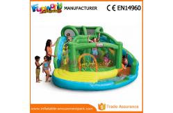 China Customized Interesting Mega Aqua Water Slide Large Inflatable Pool Slide supplier