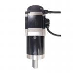 36 Volt 200 Watt 3000RPM Small DC Servo Motor Swing Barrier Gate Railway Station use for sale