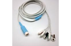 China 12 Pin Round Connector PH HP Disposable ECG Cables supplier