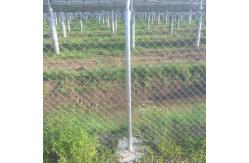 China Galvanized Chain Link Fence Fabric Pvc Coated Frame supplier