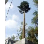 Communication Pine Palm Tree 50m Camouflage Cell Tower for sale