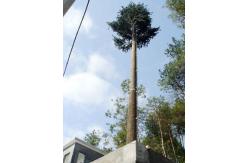 China Communication Pine Palm Tree 50m Camouflage Cell Tower supplier