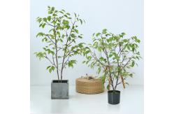 China Frabric Leaves Artificial Banyan Tree Complex Branch Interior Decoration supplier