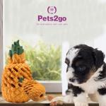 Pineapple Shaped Large 9*18CM Pet Chew Toys For Dog