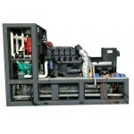 280KVA 220KW Biogas Electric Generator Stable Performance Easy Maintenance for sale