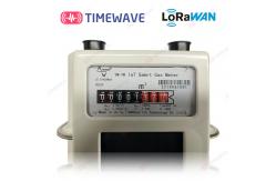 China IOT Smart Secure Gas Meter System For Gas Management And Conservation supplier