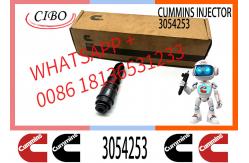 China Diesel Fuel Injector 4913325 3054218 3054253 For NT855 NTA855 Engine supplier