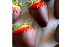China CE Certificated Chocolate Covering Machine For Chocolate Covered Strawberries supplier