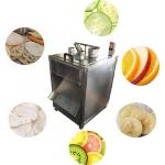 220V 110V Vegetable Chopper Machine Vegetable Cutter Machine 0.75KW for sale