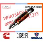 Hot-selling new Diesel common rail Fuel Injector 2894920PX 2894920