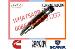 China Hot-selling new Diesel common rail Fuel Injector 2894920PX 2894920 supplier