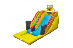 China Aldult  Outdoor Rental Inflatable Large Water Slides With Bouncy supplier