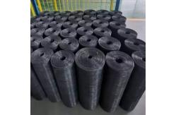China 8 Mesh 0.5mm Titanium Wire Mesh For Wastewater Treatment supplier
