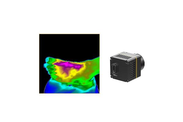 Non Contact Thermal Imaging Module 17uM For Human Body Temperature Screening