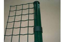 China 60x60mm Holland Wire Mesh Fence，14 Gauge PVC Coated Wire Mesh 3.0mm supplier