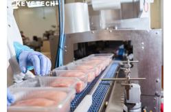 China Packaging Inspection Equipment For PP Plastic Disposable Food Containers supplier