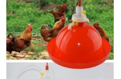 China Poultry Drinking Lines System 80pcs Chicken Feeders And Drinkers supplier