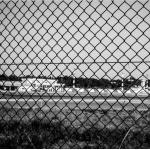 wholesale  8 feet tall new design galvanized pvc coated chain link fence for sale