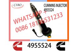 China QSK19 Neutral fuel injector Y431K05420 F00BL0J019 2867149 2882079 4964170 4918073 4955524 4964173 supplier
