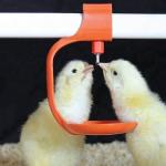 ABS Stainless Quail Nipple Drinker Chicken Nipple Drinker System for sale