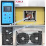 Germany Bizer Compressor Cooling Heating Cycling Chamber with High Accuracy Temperature