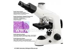 China Infinity E - plan Aspheric Illumination Compound Optical Microscope A12.6603 supplier